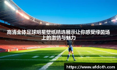 高清全体足球明星壁纸精选展示让你感受绿茵场上的激情与魅力